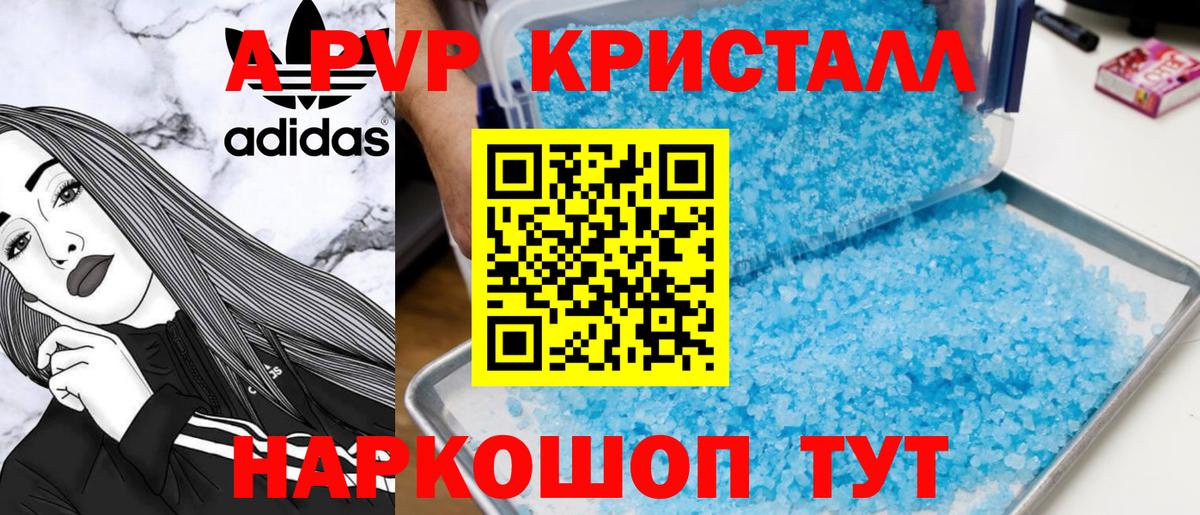A-PVP СК Майкоп