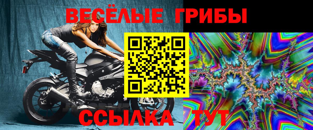 Галлюциногенные грибы Cubensis Майкоп